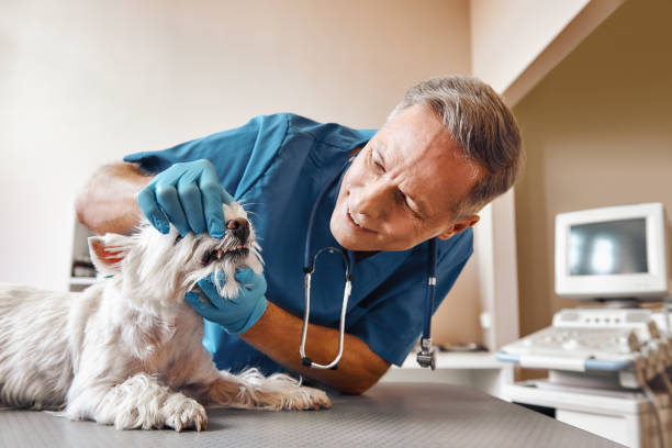Best Walk-In Emergency Dental Services in Aberdeen, OH